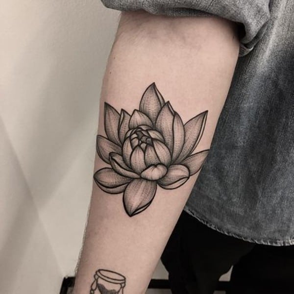 hình xăm hoa sen tattoo