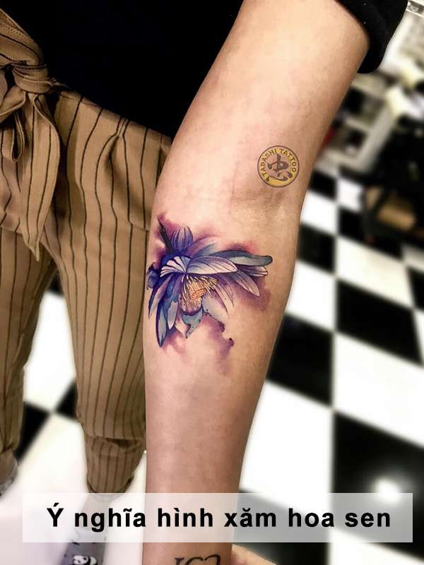 Ý nghĩa hình xăm bông sen, tattoo hoa sen mini đẹp