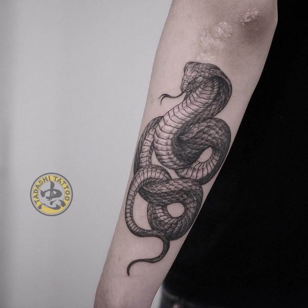 Hình xăm con rắn cũng là biểu tượng phù hợp với người sinh năm 1981