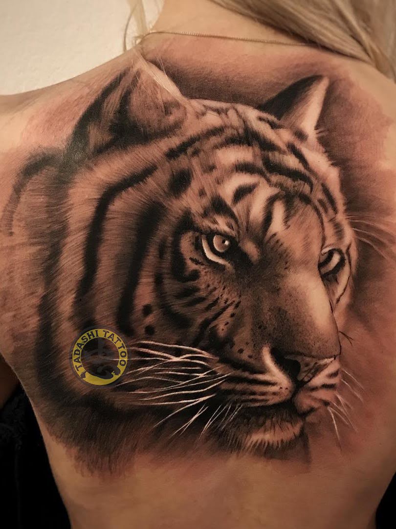 Tatuazhi i fuqishëm i tigrit i sjell fat dhe pasuri pronarit të vitit të Kaut