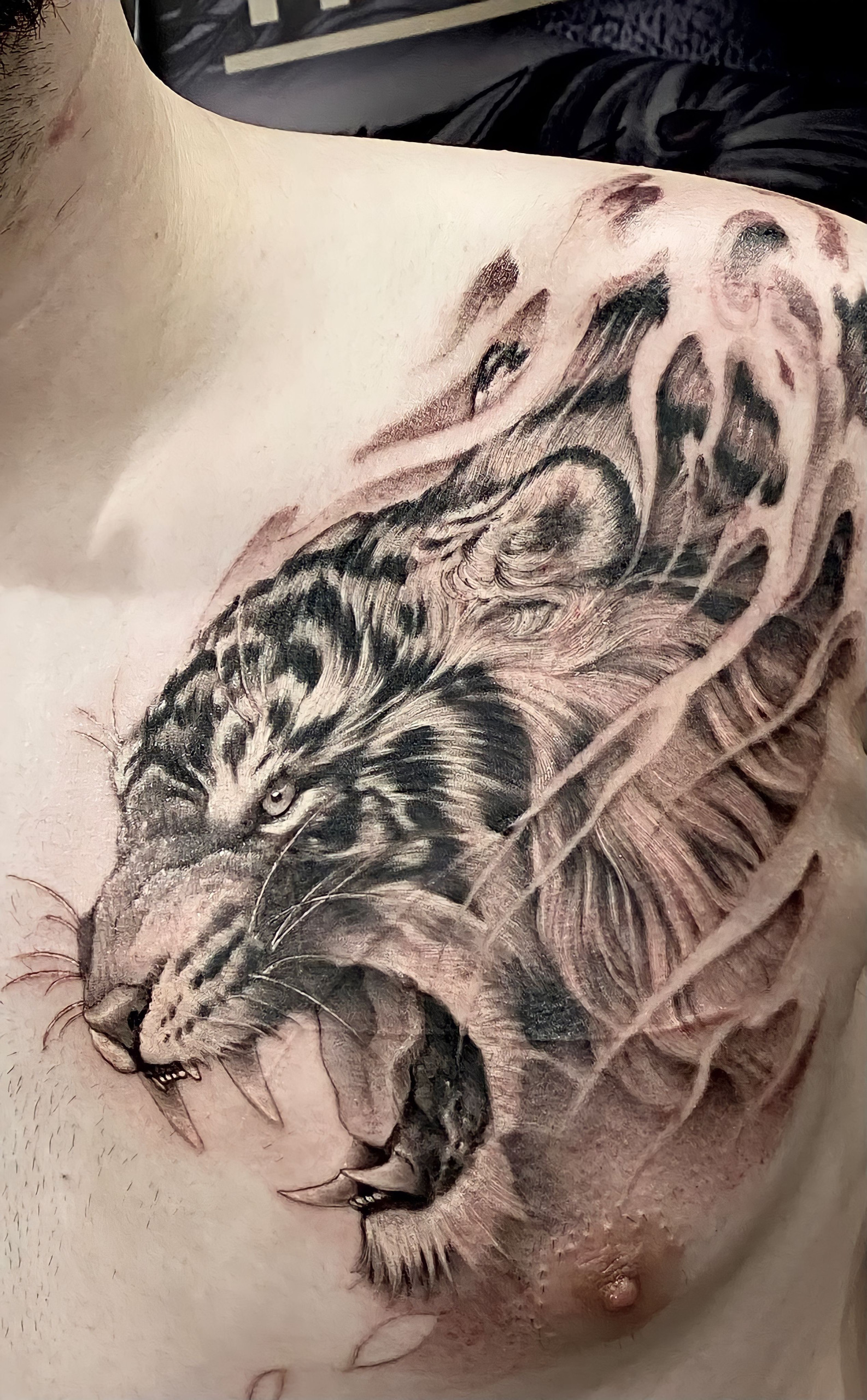tiger tattoo in The Houston Tattoo Art Festival 2022